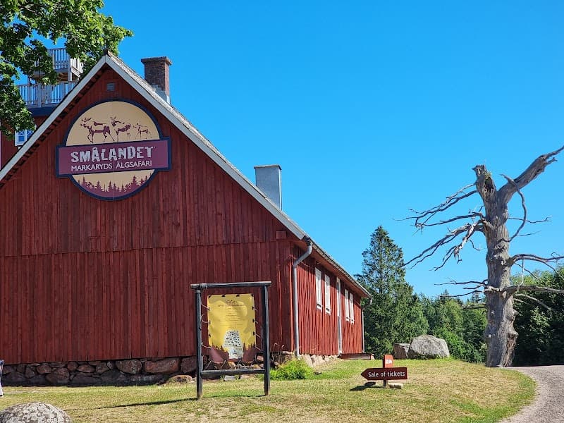 Smålandet Markaryds Älgsafari