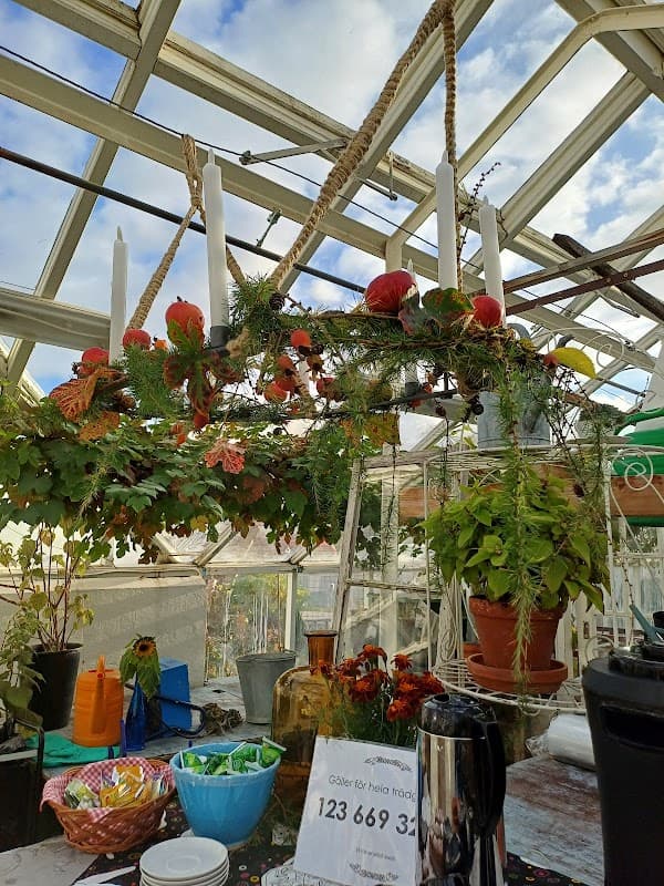 Växthus kafé Bromma arbetsmarknadscenter