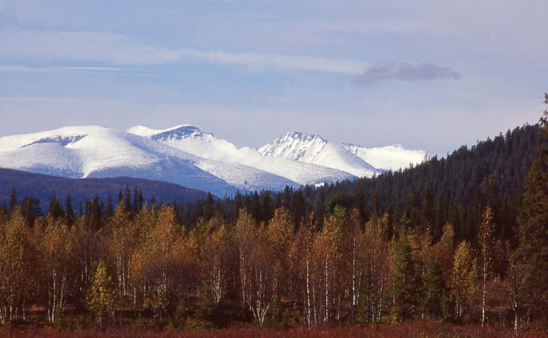 Jokkmokks Jakt & Fiskevårdsförening