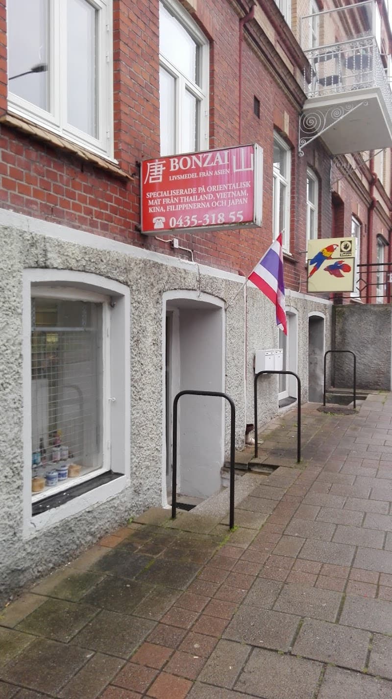 Bonzai Mat Från Asien